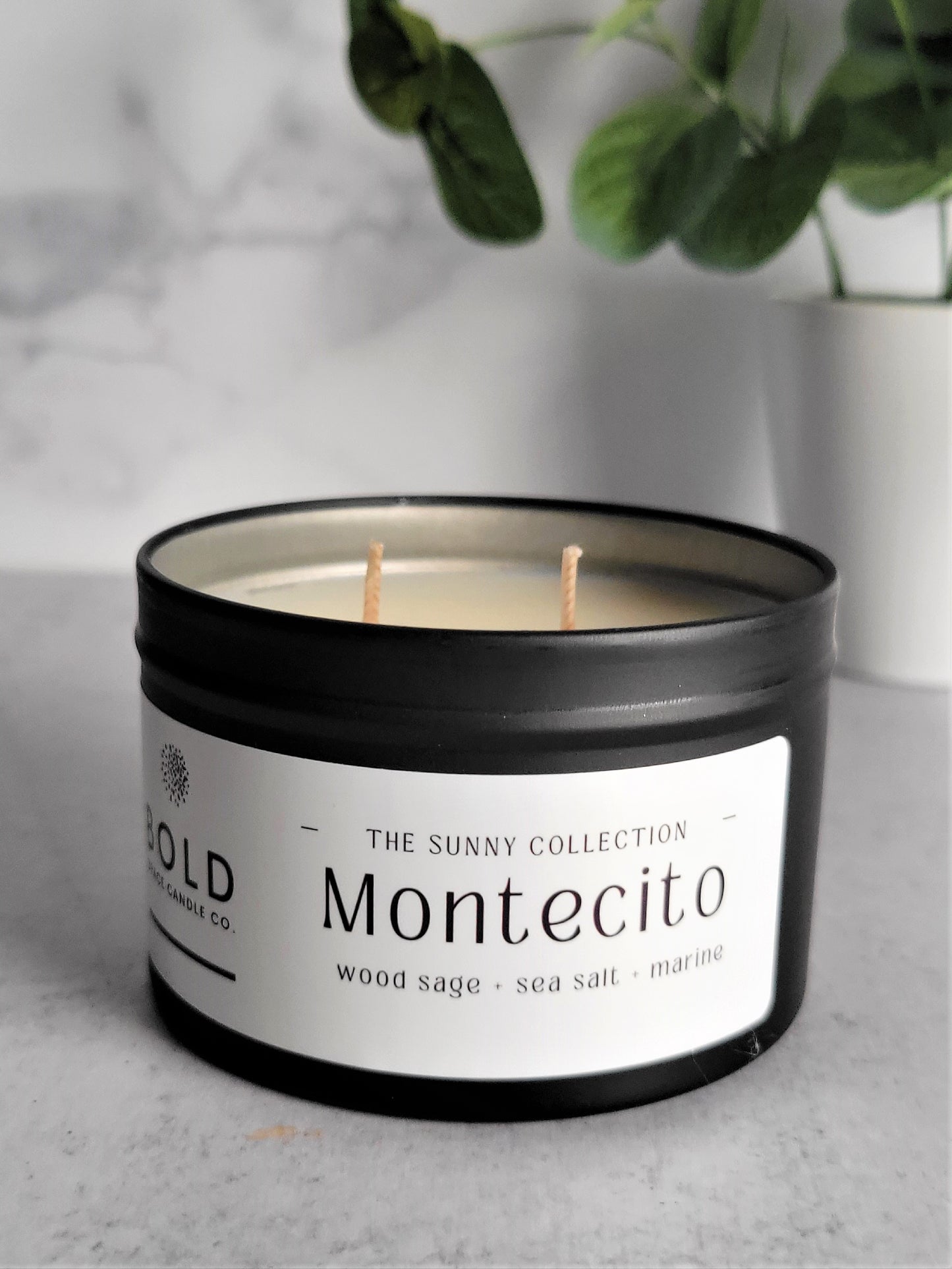 Montecito - Wood Sage + Sea Salt + Marine