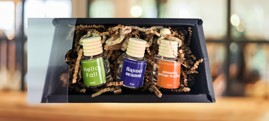 3 fall scents of car diffusers- gift set